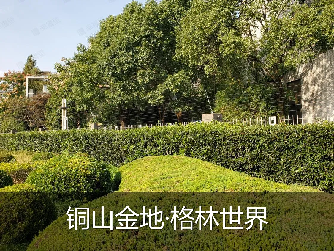 铜山金地·格林世界