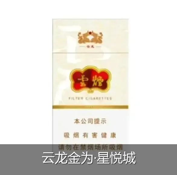 云龙金为·星悦城